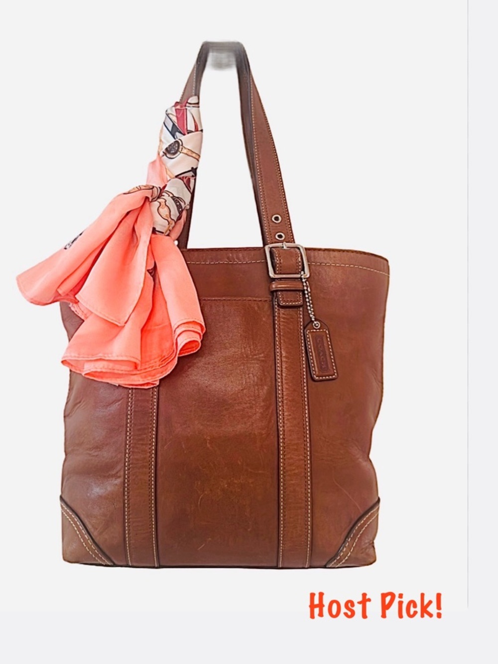 #77 COACH ~ Natural Leather Cognac Handbag w/Beige Interior & Silver Hardware